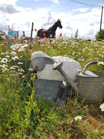 Location de vacances pour 8 personnes, avec piscine ainsi que vue et jardin à Meillac