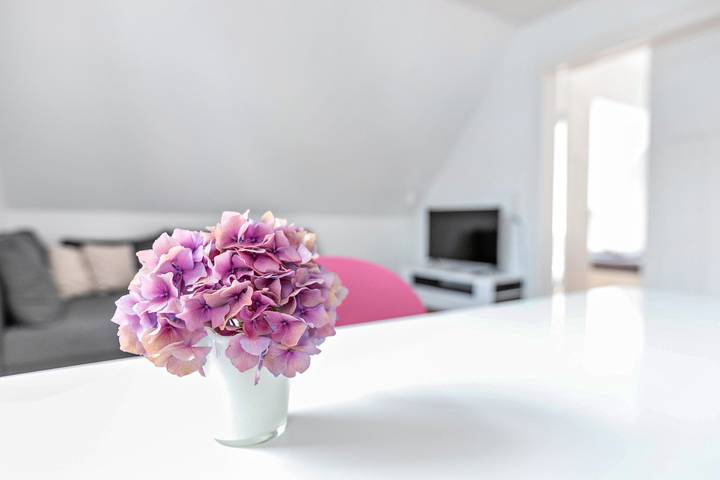 Ferienwohnung für 2 Personen, mit Garten in Heide - 3