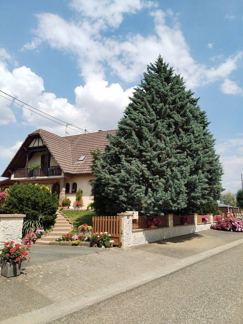 Chambres d'hôtes - Chambre Pampas (+ chambre Elie) in Geiswiller, Région de Strasbourg