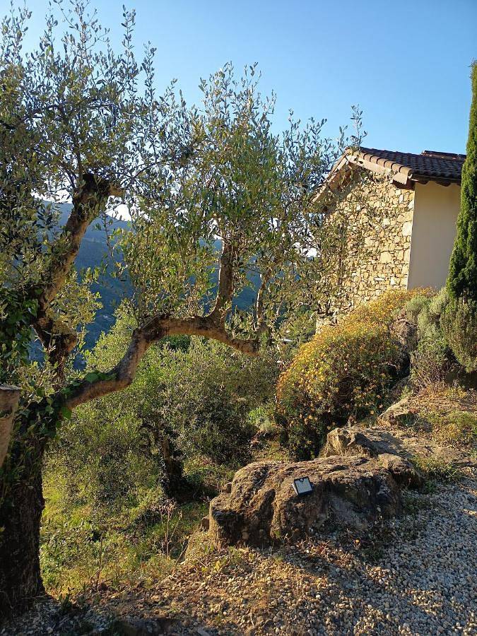 Briciole di Pietra B&B in Dolceacqua, Alpes liguriennes