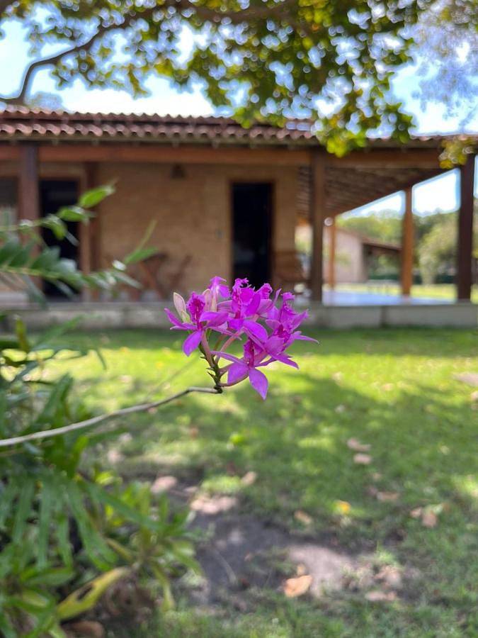 Casas e apartamentos de temporada para 2 pessoas, com vista e jardim e ainda piscina em Prado