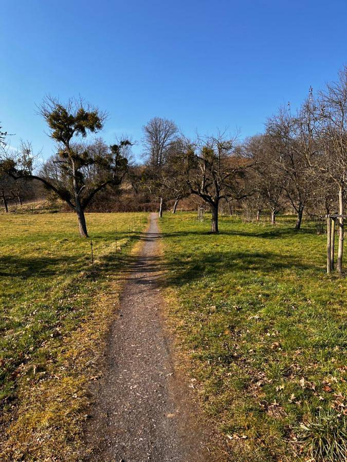 Ferienwohnung für 6 Personen, mit Garten in Wittlich - 4