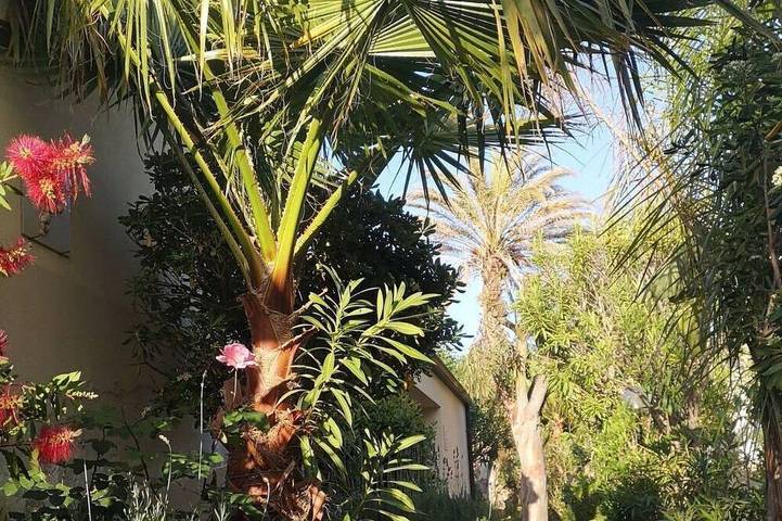 Schöner zentraler Bungalow direkt am Sandstrand auf Sizilien in Marina di Modica, Modica