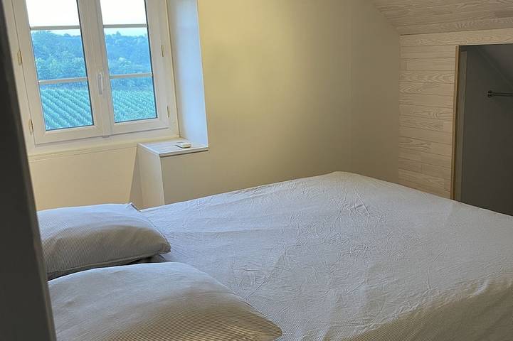 Location de vacances pour 10 personnes, avec terrasse et jardin à Chalonnes-sur-Loire - 4