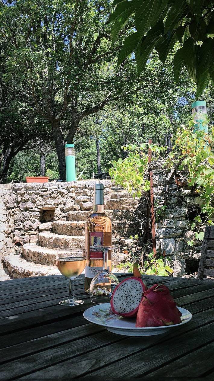 Gîte pour 6 personnes, avec piscine à Saint-Paul-en-Forêt - 4