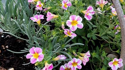 Ferienhaus für 2 Personen in Ehrenberg, Rhön-Hessen, Bild 1