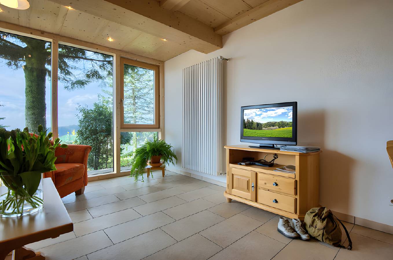 Ganze Wohnung, Ferienwohnung 'Schwalbe' mit Bergblick, privater Terrasse und Wi-Fi in St. Märgen, Südschwarzwald