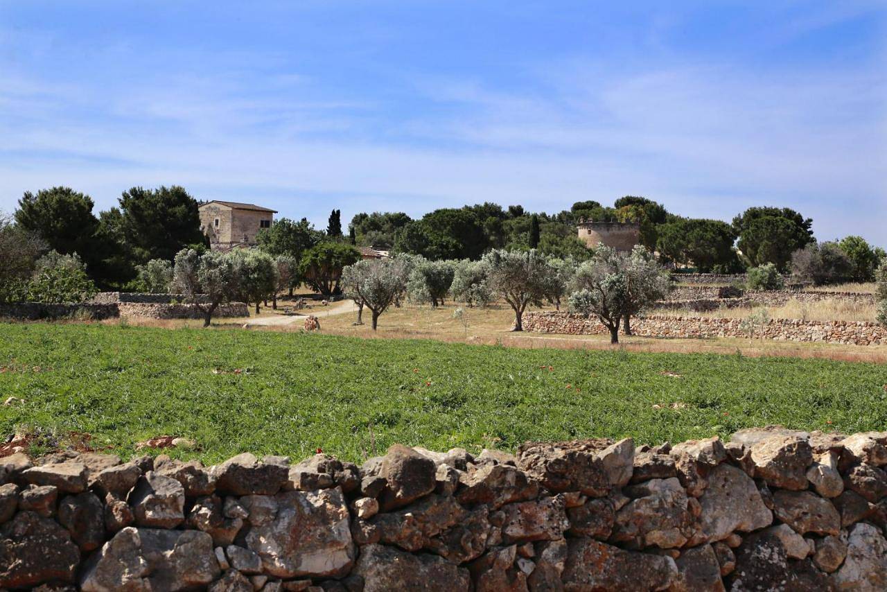 Studio with Garden View in Nardò (comune), Golfo di Taranto