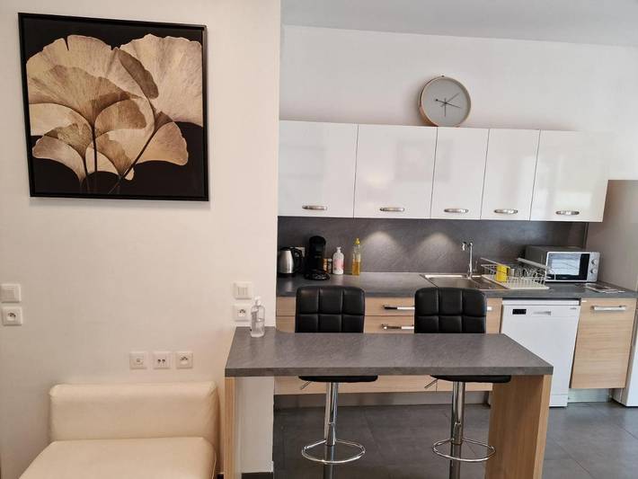 Gîte pour 7 personnes, avec terrasse à Châtenay-Malabry - 3
