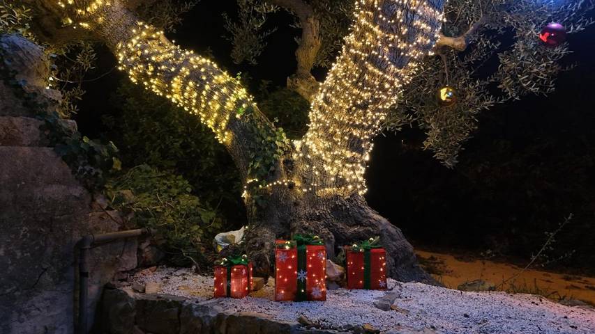 B&b per 4 persone, con piscina e idromassaggio nonché giardino, adatto a famiglie con bambini in Locorotondo