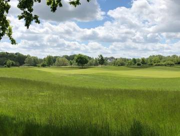 Bungalow für 4 Personen in Göhren-Lebbin, Fleesensee, Bild 4
