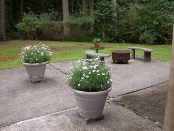 Lake House for 2 Guests in Puget Sound, Whidbey Island, Picture 3