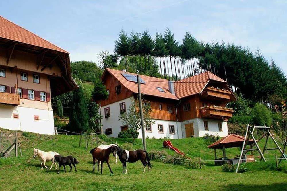 Ganze Wohnung, Schwörerhof - Ferienwohnung 70qm, 2 Schlafräume, 1 Wohn-/ Schlafraum in Schuttertal, Hochschwarzwald