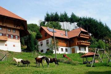 Bauernhof für 5 Personen, mit Garten und Terrasse in Schuttertal
