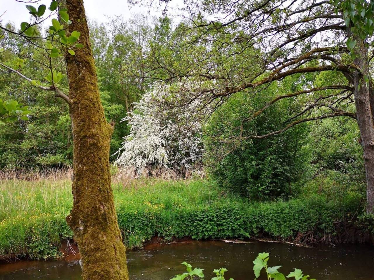 4 Personen Ferienhaus in Ansager in Ansager, Varde
