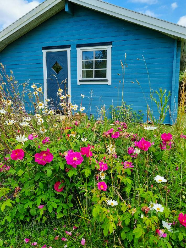 Feriehus for 4 personer, med Terrasse og Hage i Lolland