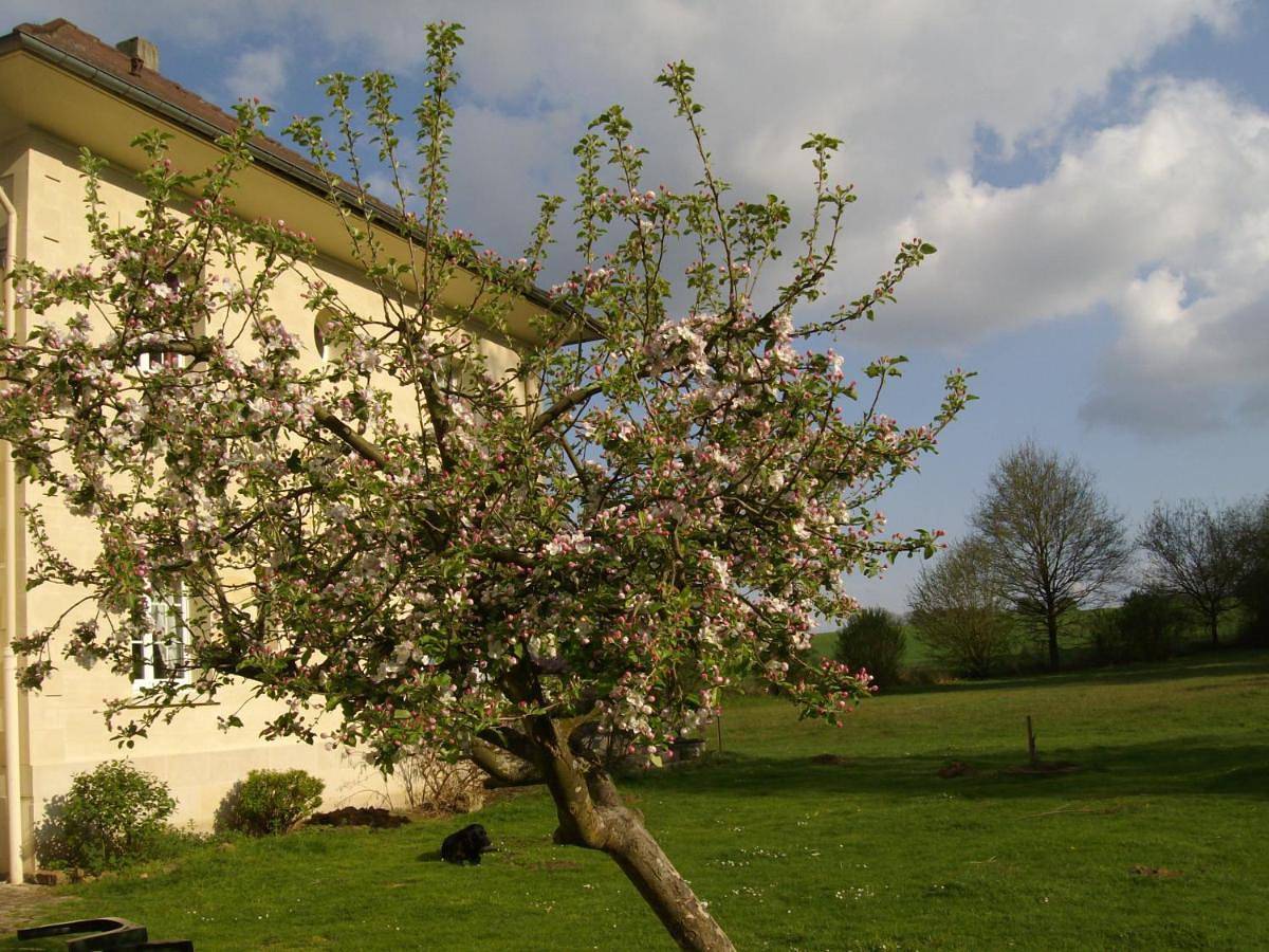Domaine de Beauvilliers in Viarmes, Val-d'Oise