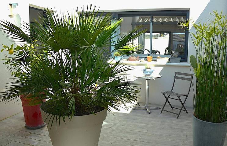 Maison de vacances pour 6 personnes, avec jardin, adapté aux familles