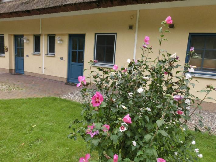 Ferienhaus für 7 Personen, mit Garten und Terrasse, kinderfreundlich auf Rügen - 4