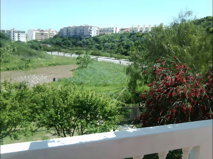 Holiday apartment for 6 people, with garden, with pets - 1