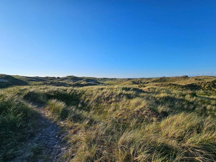Luxus-Ruckzug mit Spa in Lodbjerg Hede, Ringkøbing