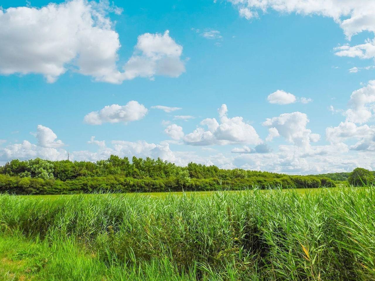 Vakantie Zeeland — Vz131 Groepsaccommodatie Westkapelle in Westkapelle, Walcheren