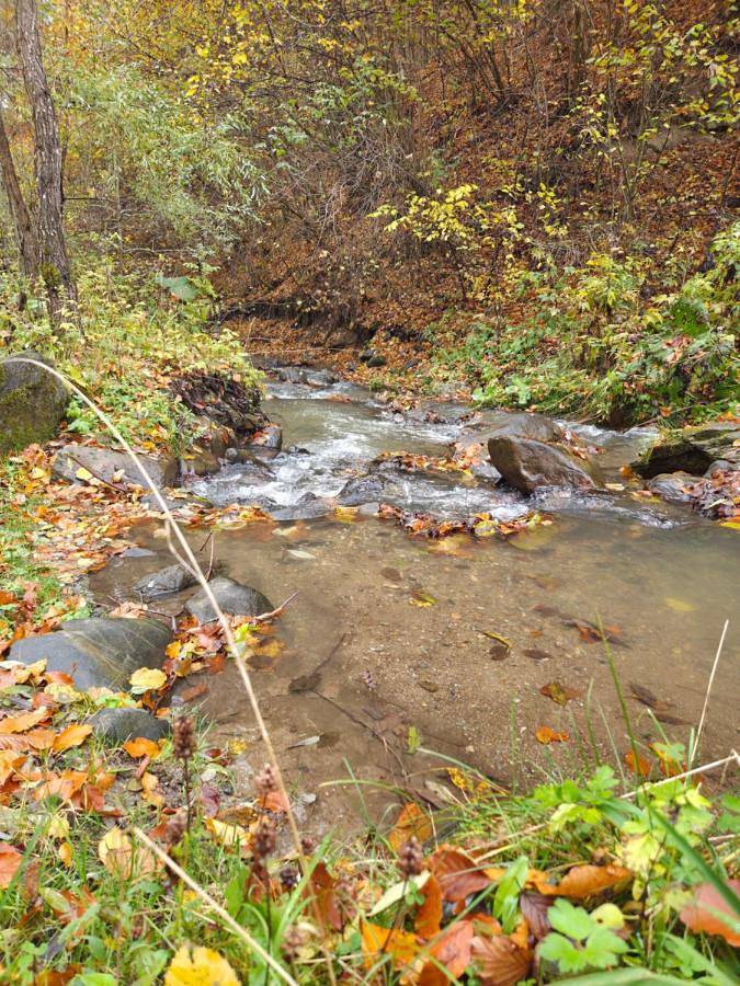 Location de vacances pour 12 personnes, avec vue ainsi que jardin et terrasse dans Cluj-Napoca - 4