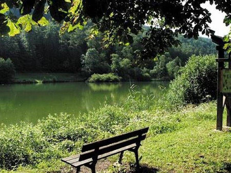 Camping les Lupins - Chalet 6 persons - 2 bedrooms in Seppois-le-Bas, Altkirch region