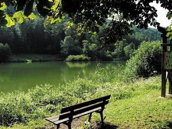 Chalet für 6 Personen, mit Kinderpool im Elsass - 4