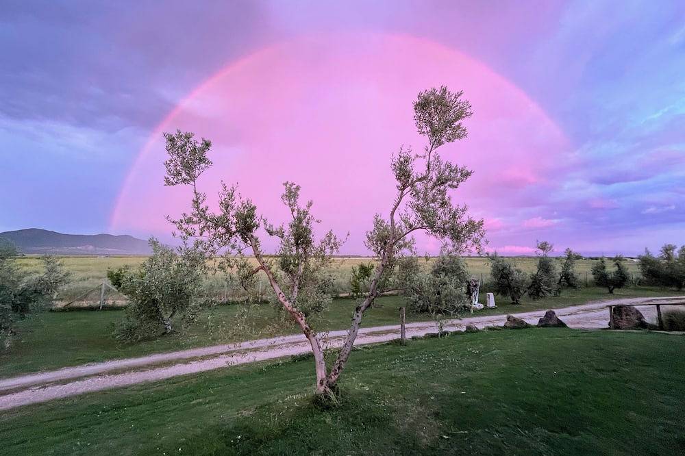 Casa vacanza a Tuscia a partire da 146€ a notte