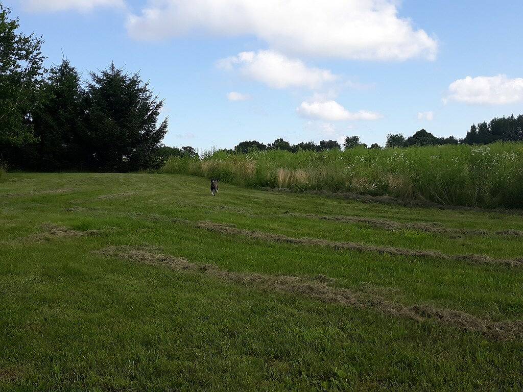Little House in the Big Woods on the Prairie in Sauk County