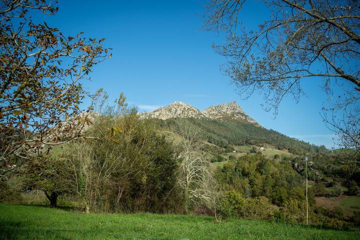 Apartamento entero, Apartamento 'Casa Collado Sto Tomas 1' con vistas a la montaña y terraza compartida in Parres, Costa Verde