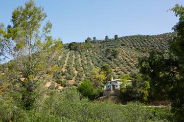 Chalet para 14 Personas en Villanueva del Arzobispo, Parque natural de las Sierras de Cazorla y Segura, Foto 1