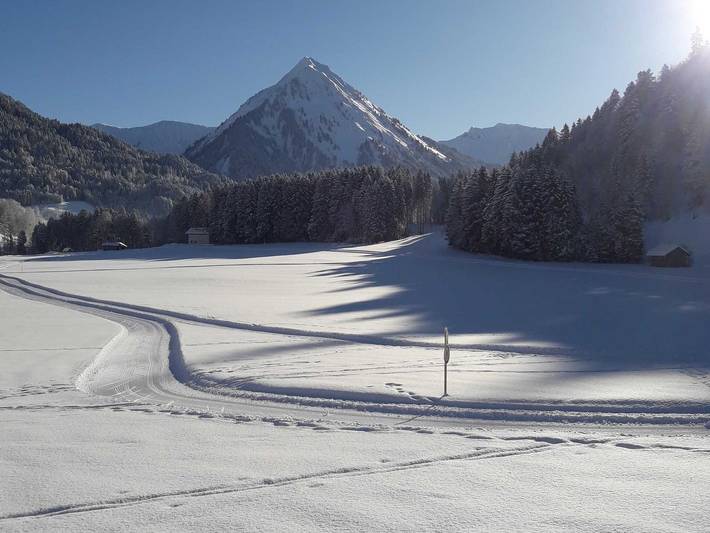 Bauernhaus für 5 Personen, mit Garten und Ausblick im Bregenzerwald - 4