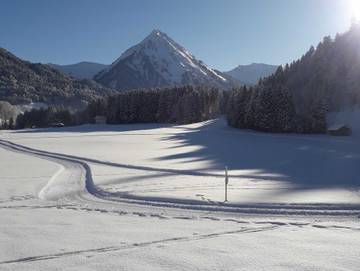 Bauernhof für 5 Personen in Au, Lechquellengebirge, Bild 3