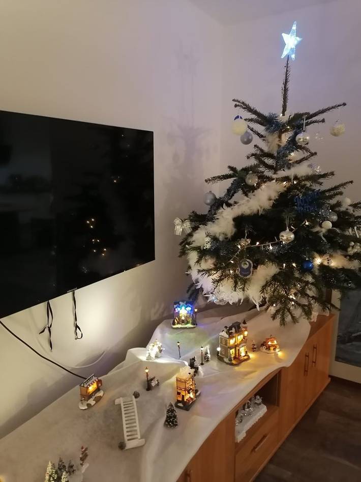 Gîte pour 4 personnes, avec jardin et terrasse, animaux acceptés à Plouguerneau - 4