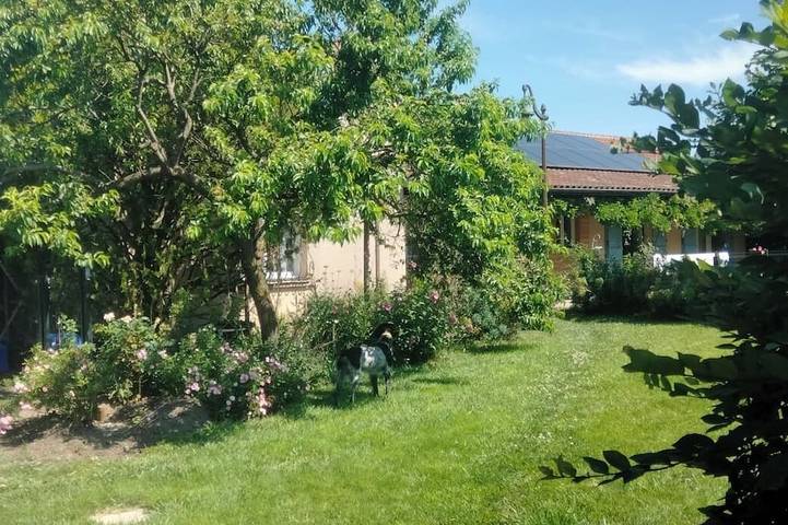 Gîte pour 3 personnes à Riom - 4