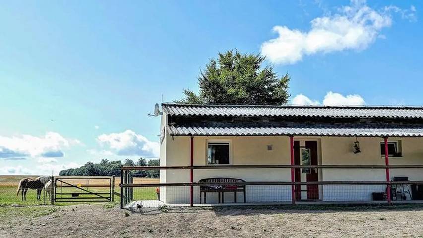 Ferienhaus für 5 Personen, mit Terrasse und Garten in Sachsen-Anhalt - 3