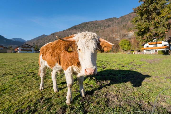 Rum för 2 Personer in Oberau, De Bayerska Alperna
