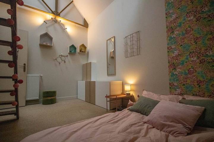 Location de vacances pour 13 personnes, animaux acceptés dans Château de Blois - 3