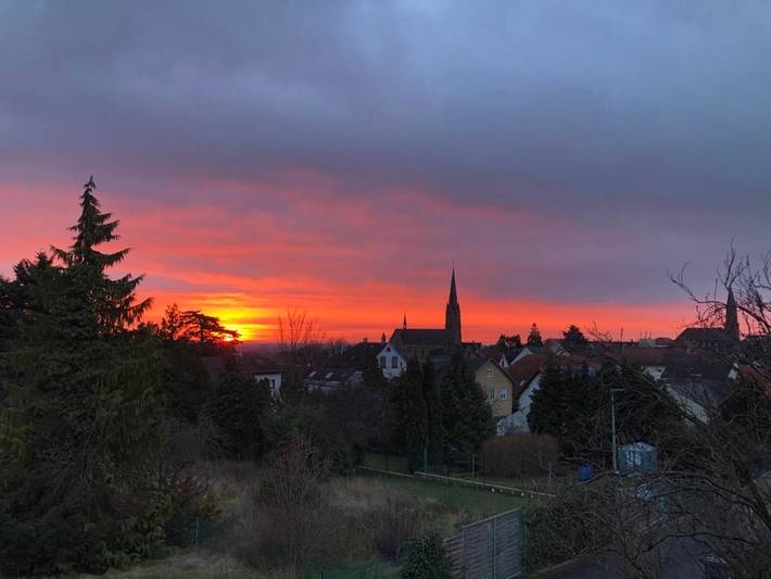 Ferienwohnung für 3 Personen, mit Balkon und Terrasse sowie Ausblick in Edenkoben - 4