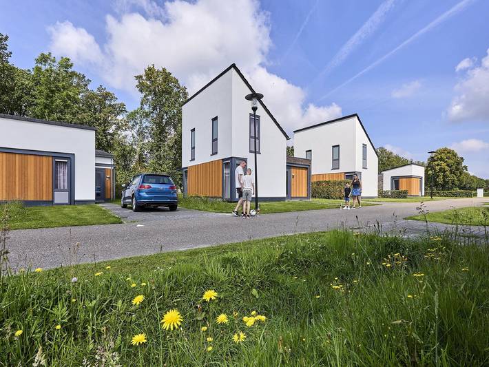 Villa voor 8 personen, met tuin en zwembad in Leudal