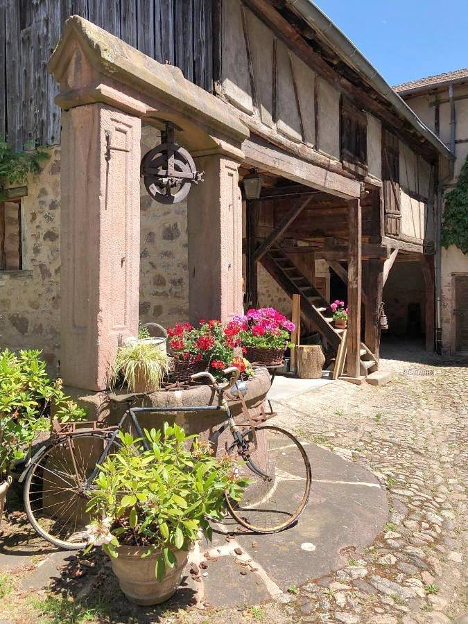 Gîte pour 2 personnes, avec vue et jardin à Riquewihr - 4