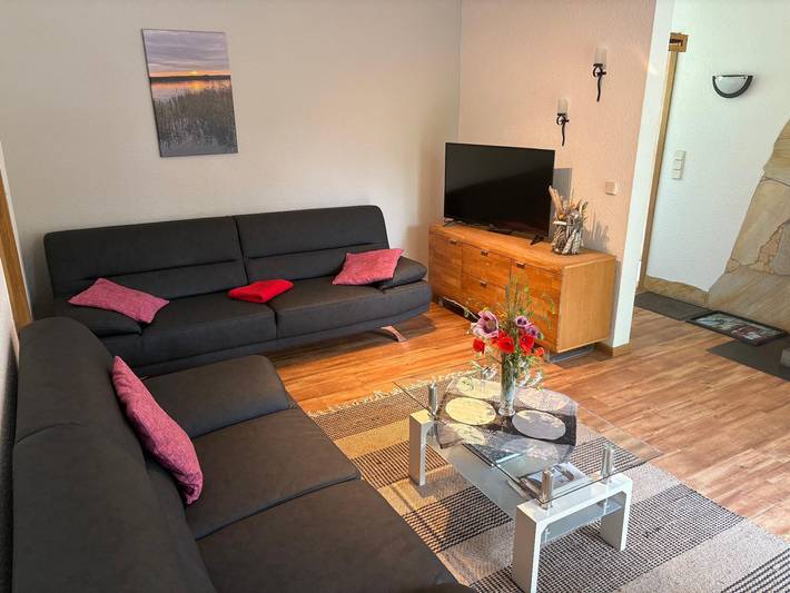 Ferienhaus für 4 Personen, mit Terrasse und Garten, mit Haustier - 1