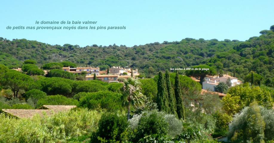 Ferienwohnung für 2 Personen, mit Garten, kinderfreundlich in Draguignan Region - 4