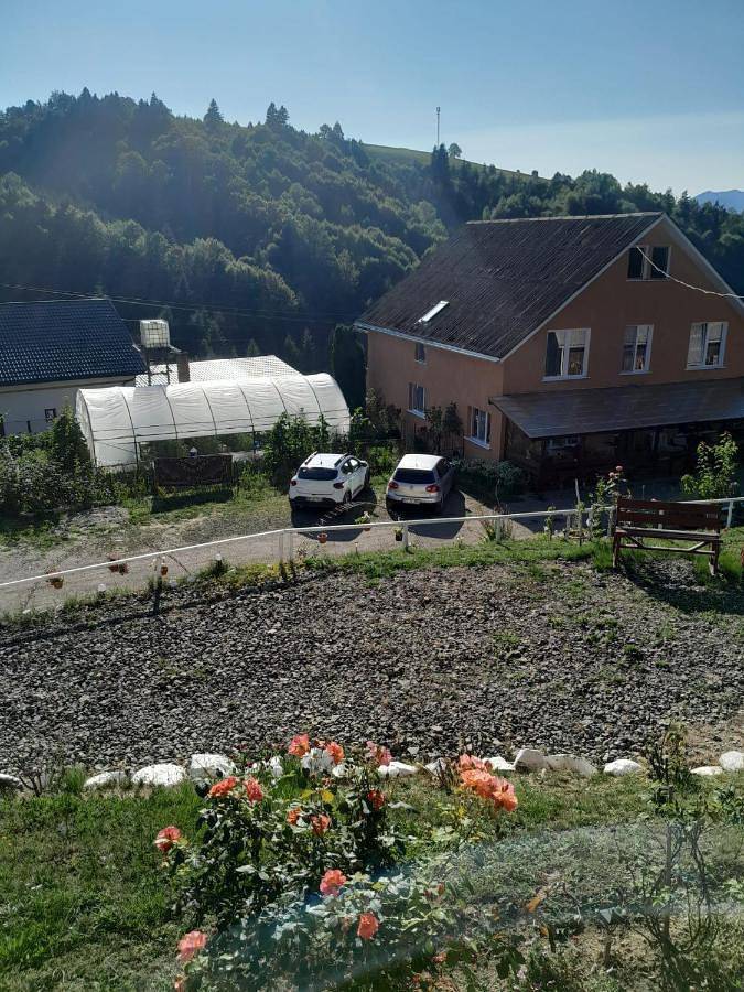 Chambre d’hôte pour 3 personnes, avec vue et jardin en Roumanie - 2
