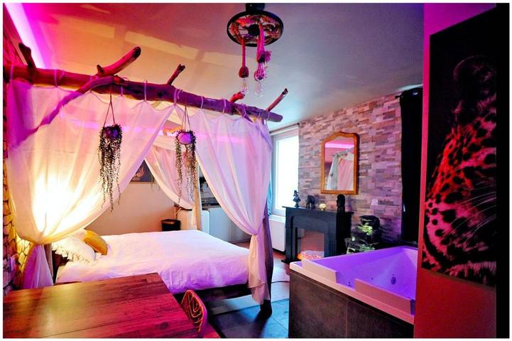 Gîte pour 4 personnes, avec jacuzzi, animaux acceptés à Bourgoin-Jallieu - 3