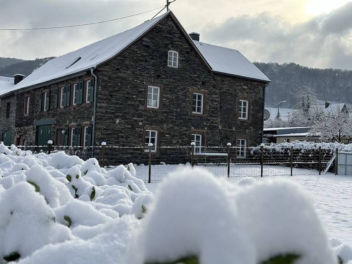 Ferienhaus für 4 Personen, mit Haustier in Bernkastel-Kues - 3