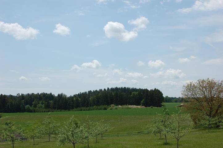 Ferienhaus für 4 Personen, mit Balkon und Garten, kinderfreundlich in Breitenbrunn