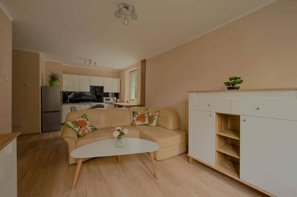 Ganze Wohnung, Land of Lakes Apartment in Allenstein, Seenplatte von Ilawa